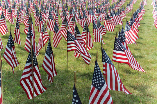 american flags in a row on a field of green grass