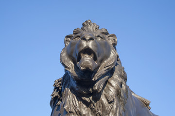 Bronze Lion