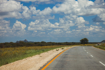 South African road through the savannas and deserts with marking