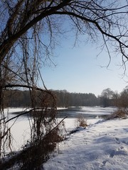 Jezioro zimą © michalsen