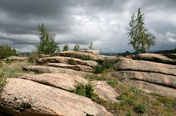 The steppe landscape with rocks and trees on the cloudy windy day in Altai region, Russia