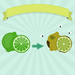 Rotten lime or lemon with flies and fresh lime. Blank ribbon for insert text.