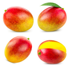 mango fruit isolated