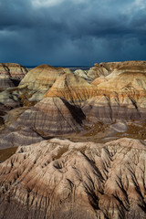 The Petrified Forest National Park in Arizona.