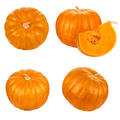 Pumpkin cut set