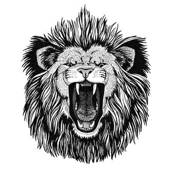 lion roaring outline