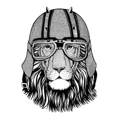 Wild cat Wild lion in motorcycle helmet with glasses