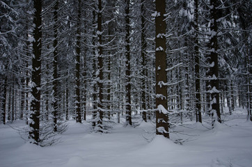 Winterlandschaft im Erzgebirge