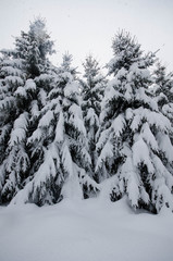 Winterlandschaft im Erzgebirge