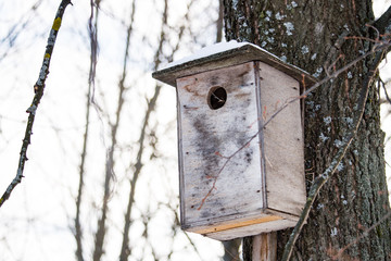 Wooden birdhouse on a tree in winter