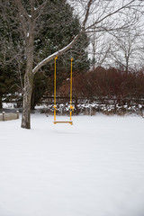 A tree swing in winter hanging lonely