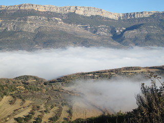 Campos en medio de la niebla