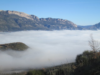 Campos tapados por la niebla