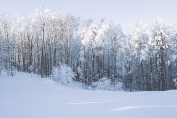 Winter snowy and foggy mountain landscape.