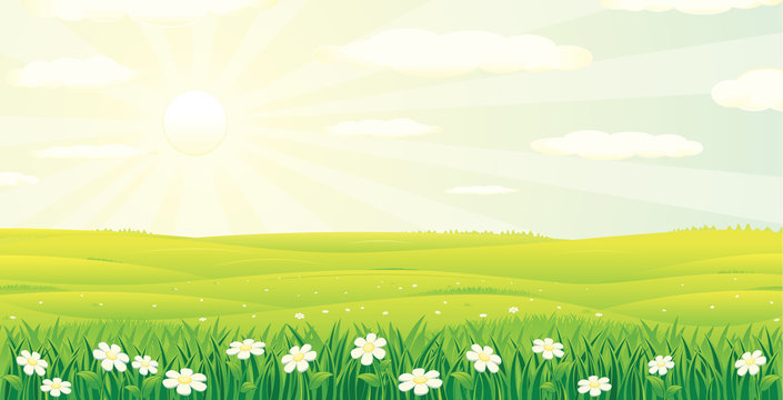 Scenic Summer Day Landscape. Vector Image