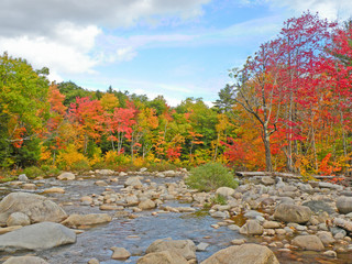 Scenic stream with Fall Foliage