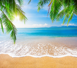 Panele Szklane Podświetlane  Palmowa i tropikalna plaża