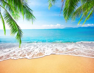 Fotobehang Tropisch strand Palm en tropisch strand