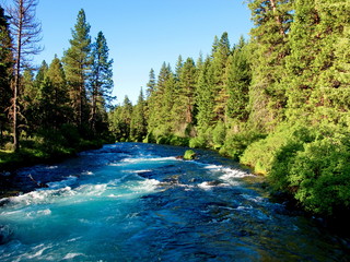The amazing turquoise waters at Wizard Falls on the Metolius River in Central Oregon glowing with...