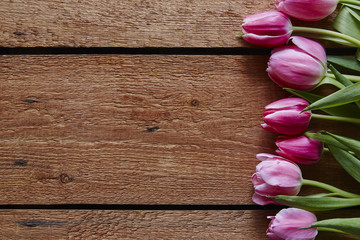 spring flowers violet tulips on wooden boards