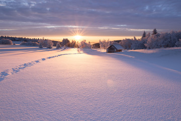 Golden sunlight over an idyllic white winter landscape with a little wooden hut in background