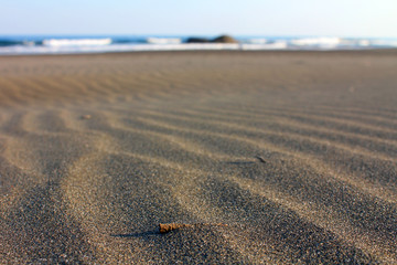 Sand beach. Summer background with distant ocean. Selective focus