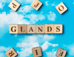 The word Glands on the sky background
