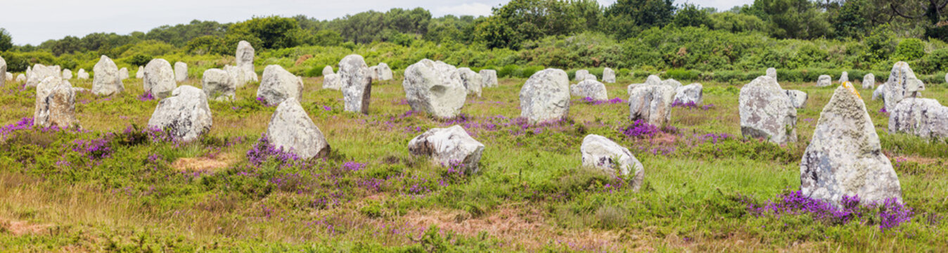 Carnac Stones - Panoramic View