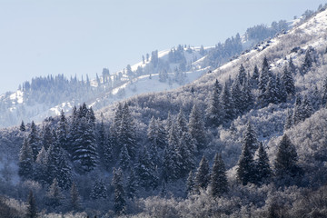 Wasatch mountains north of salt lake city where it is a popular destination for snowboarding skiing and other winter sports