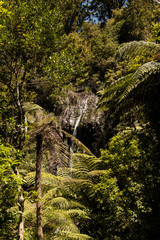 Fairy Falls