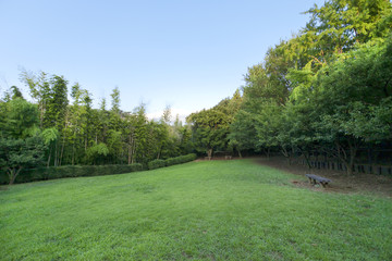 熊野神社市民の森（横浜市港北区）