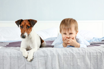 Cute little boy with funny dog on bed at home