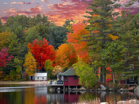 Main Fall foliage 6