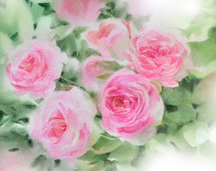 pink rose  watercolor hand-painted, isolated on white