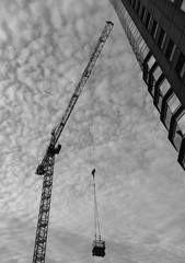 Crane3