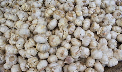 White garlic pile on market display. Fresh white garlic for sale.