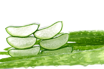 Slice Aloe Vera a very useful herbal medicine for skin care and