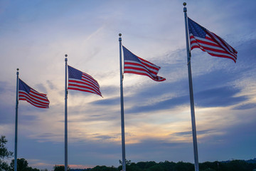 american flags standing tall - 135384507