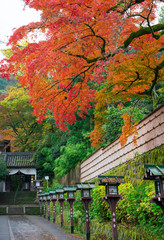 京都　長楽寺の紅葉