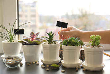 Woman putting tag in pot