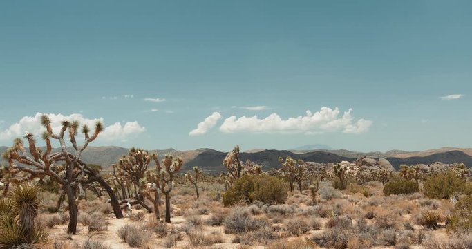 Time Lapse of Clouds over Joshua Tree National Park, California Desert