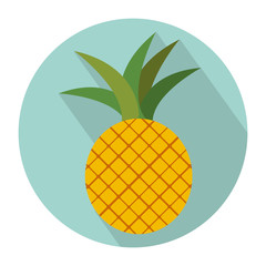 colorful circular shape with pineapple fruit vector illustration