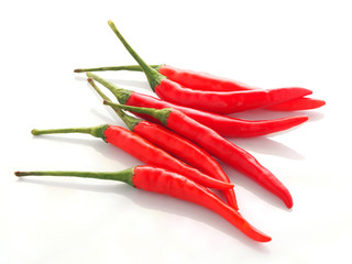 Fresh red hot chilli isolated on white background.