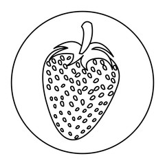 silhouette circular shape with strawberry fruit vector illustration