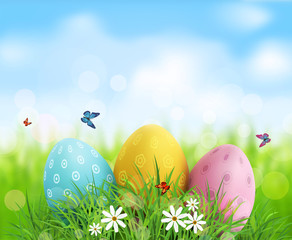 Vector background. Easter eggs in green grass with white flowers