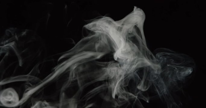 Water Vapor on a Black Background. White smoke on black background, slow motion