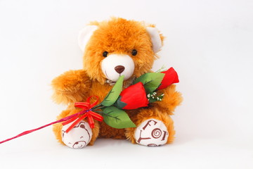 Brown teddy bears and red roses on a white background.