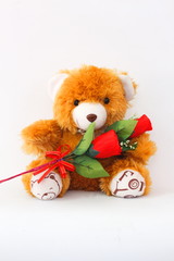 Brown teddy bears and red roses on a white background.