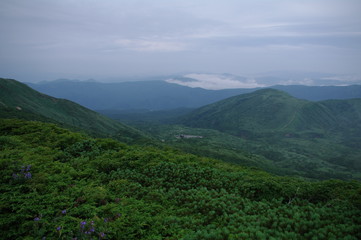 Fototapeta premium 秋田駒ヶ岳 登山道