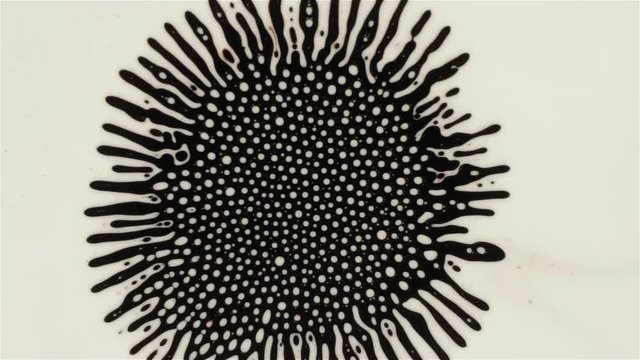 Fantastic patterns and shapes. Ferrofluid and paint. Close-up.